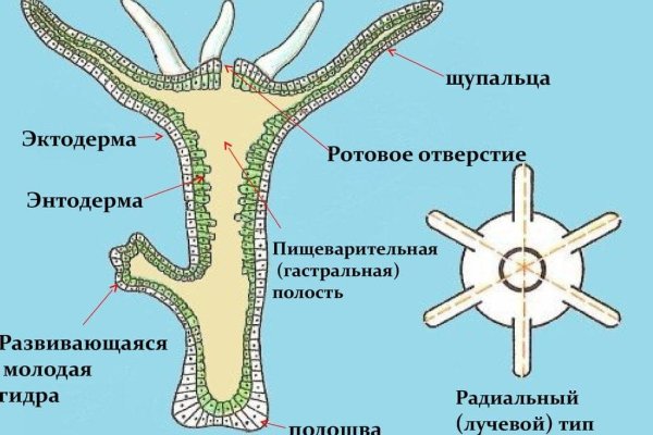 Адрес гидры