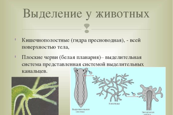 Кракен рабочая