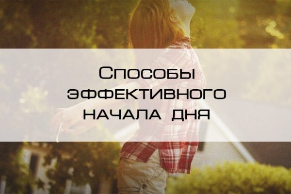 Ссылки тор браузер