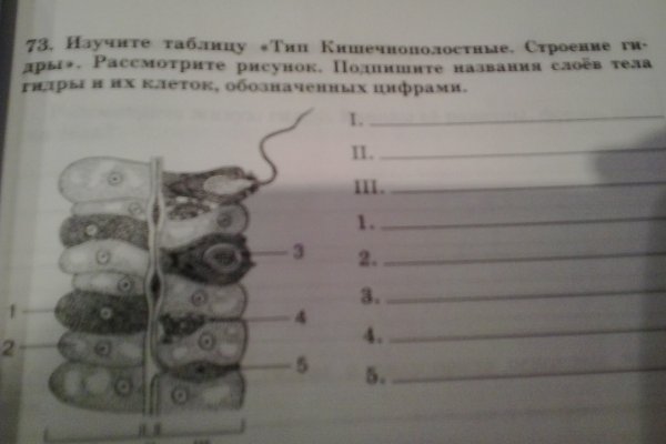 Сайт кракен на английском