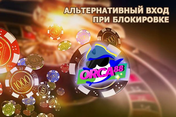 Солярис маркетплейс даркнет